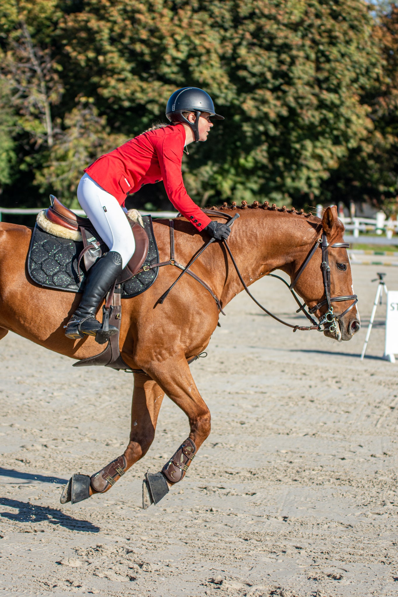 Jump - Glitter Saddlepad - Black