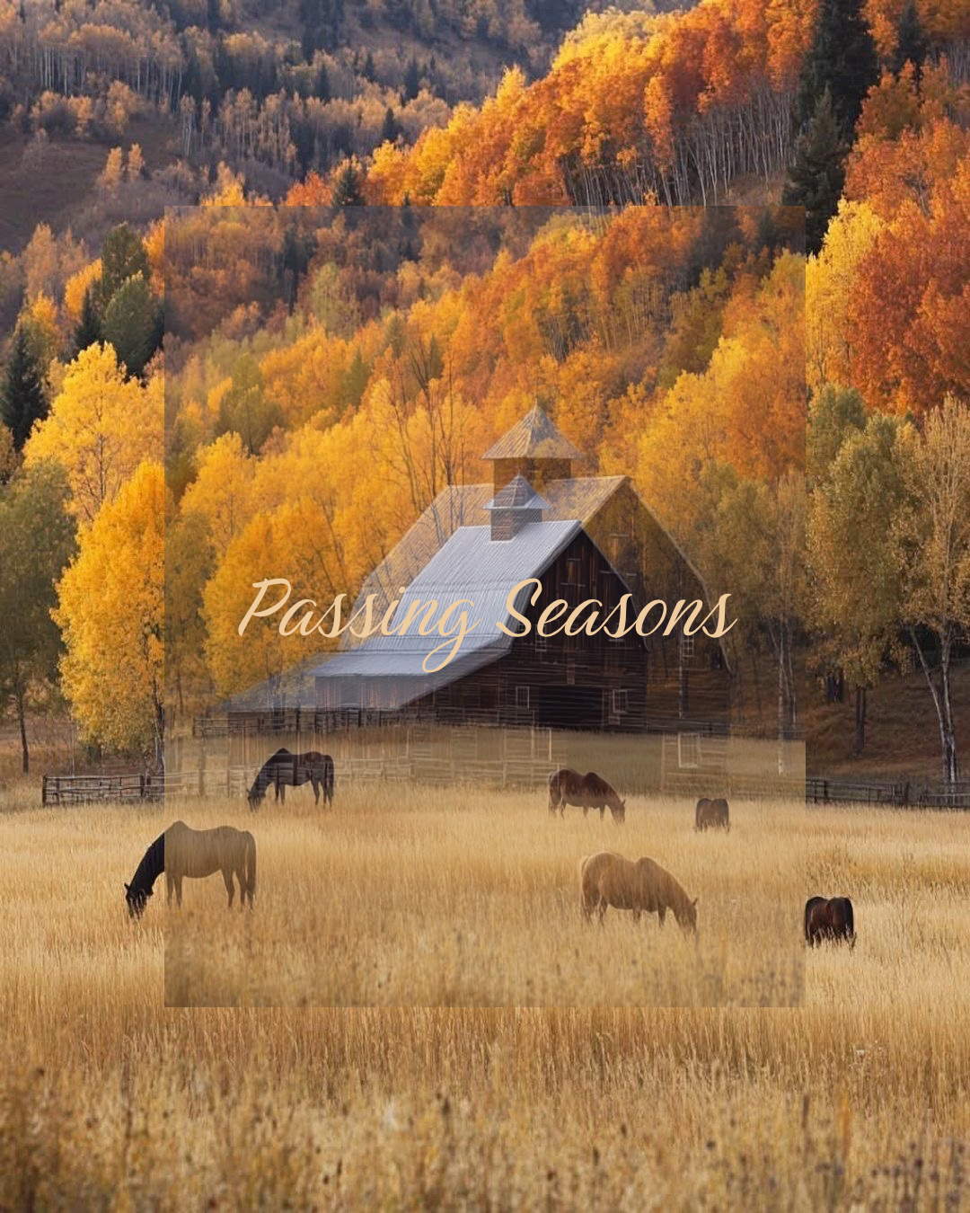 Bevezető áron - Passing Seasons - Satin Saddlepad SET🤎🍂