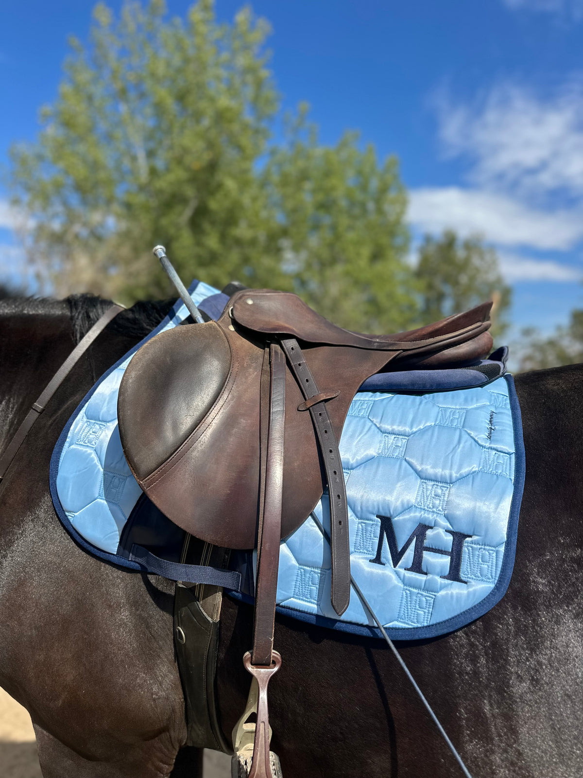 Bevezető áron - Literally Summering 🩵🌊💙- Satin Saddlepad - JUMP