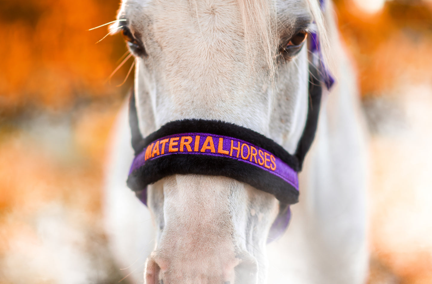 🎃Halloween 2024 - Glitter Transfer Halter - Limited Edition!💜🖤🧡 - Utolsó darabok