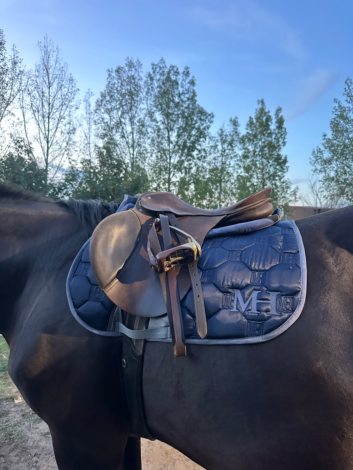 Daddy’s Home - Satin Saddlepad SET - JUMP