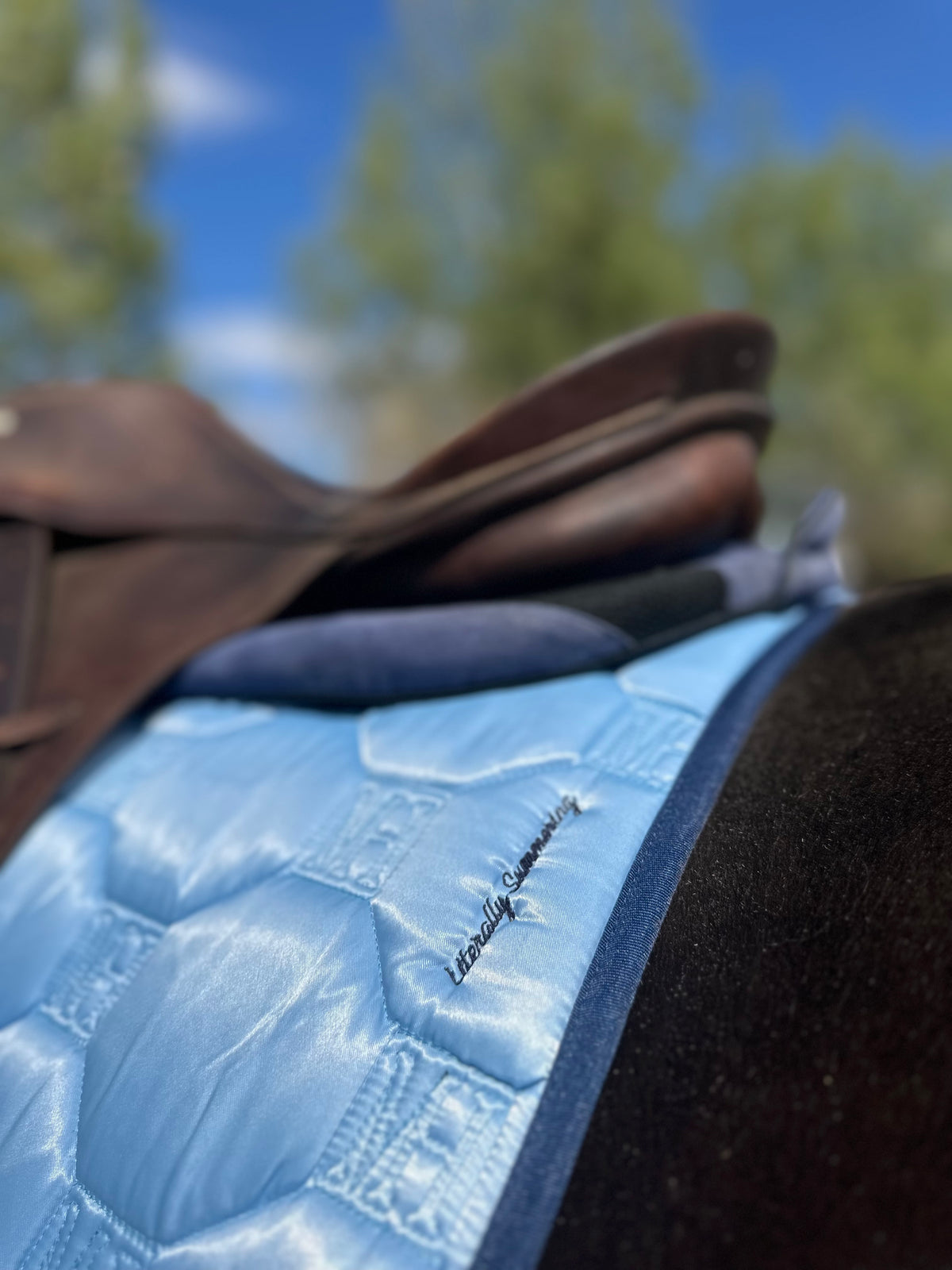 Literally Summering - Satin Saddlepad SET - JUMP 💙🩵