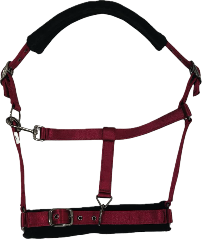 ELŐRENDELÉS - Advent - Szőrmés Kötőfék