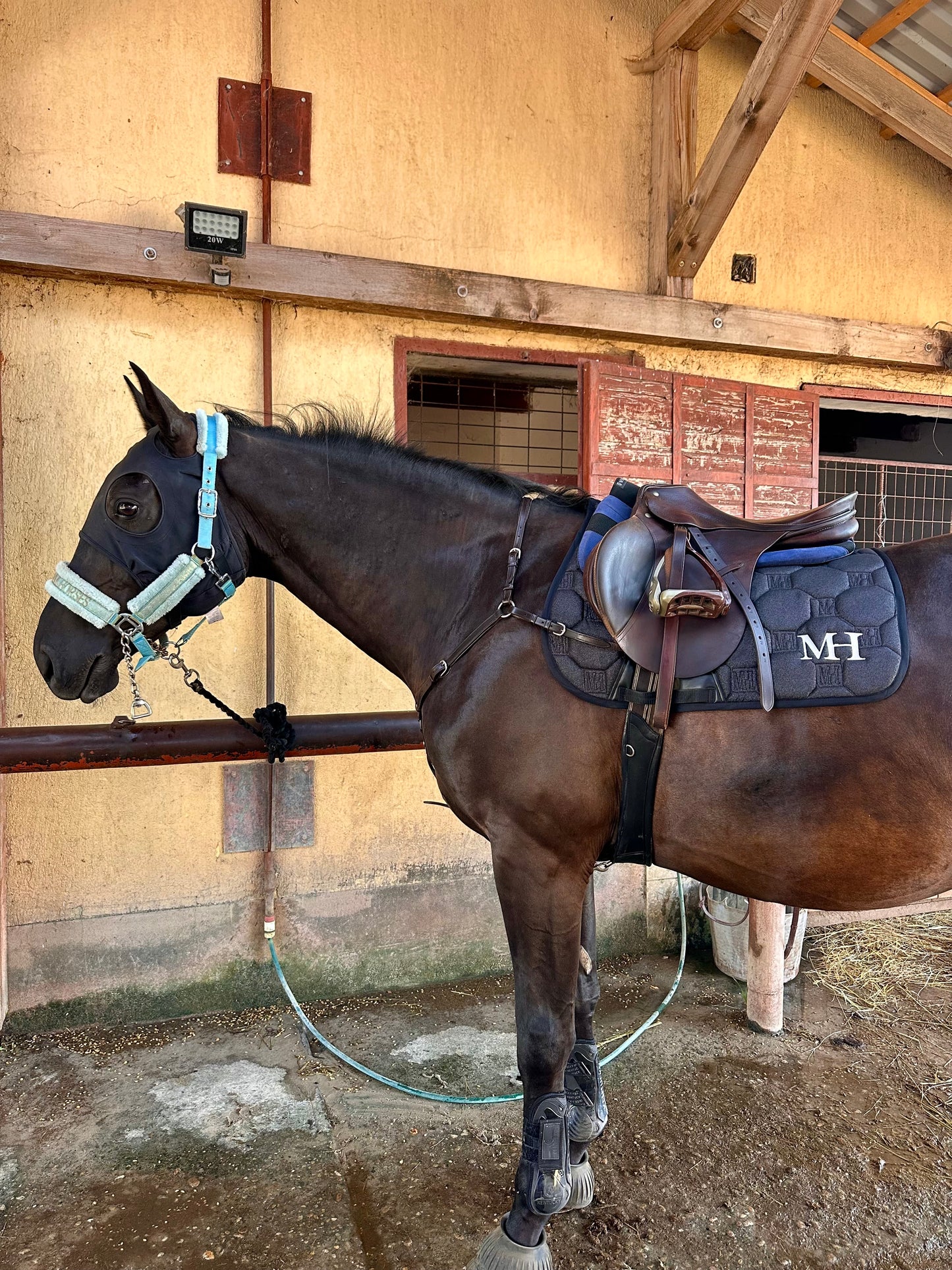 Jump - Glitter Saddlepad - Black