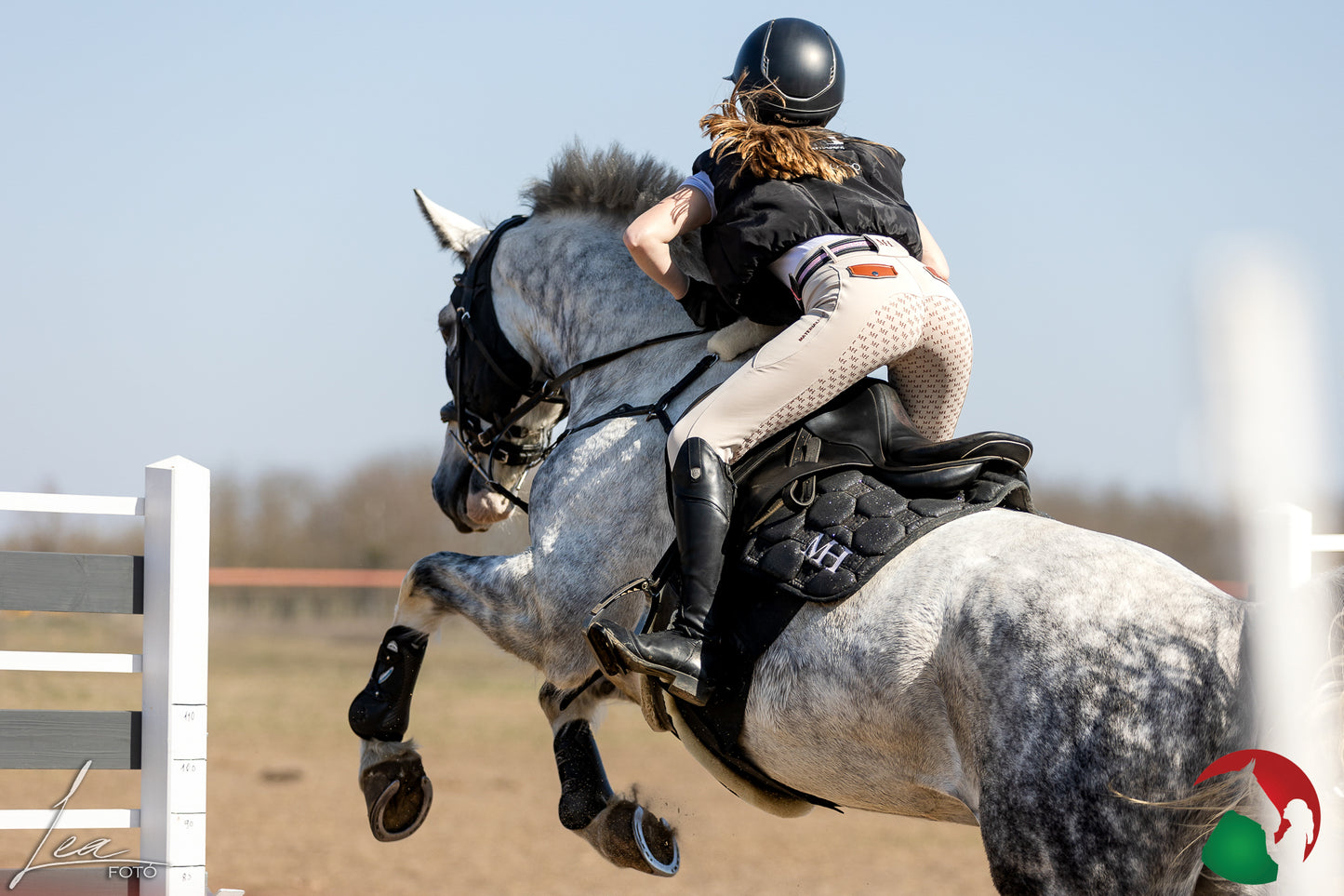 Show Breeches - Cinnamon Roll - Brown Leather Details