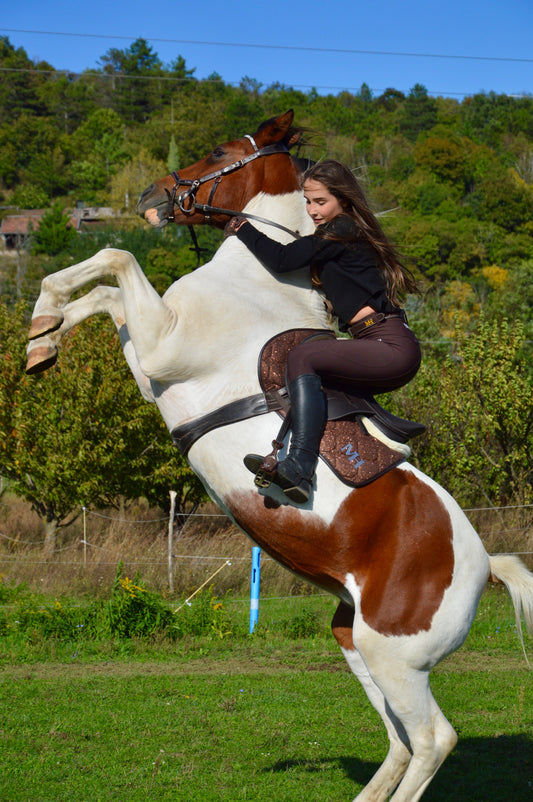 Glitter Saddlepad - Brown - Jump