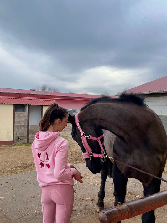 Valentine’s Day 2026 - Hoodie 🩷🌸