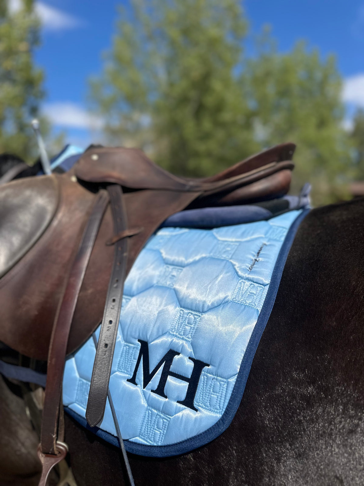 Literally Summering - Satin Saddlepad SET - JUMP 💙🩵