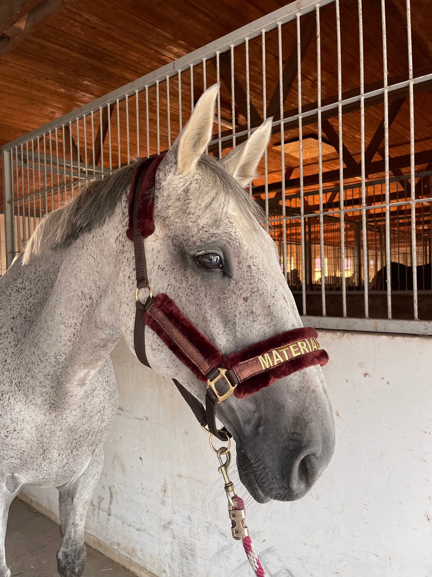 Material Horses Glitter Transfer Halter - Golden Brown